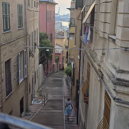 Belvedere Da Spianata