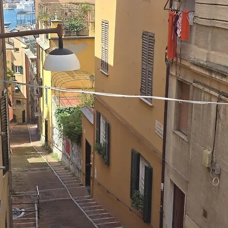 Belvedere Da Spianata * Genova